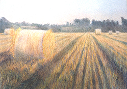 suffolk harvest i